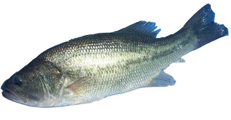 蔬菜糧油干貨配送模式圖