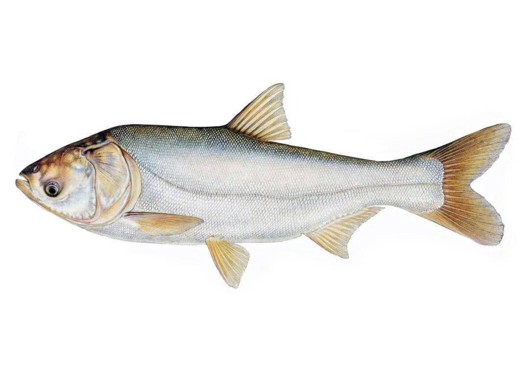 禹城新時代蔬菜配送公司