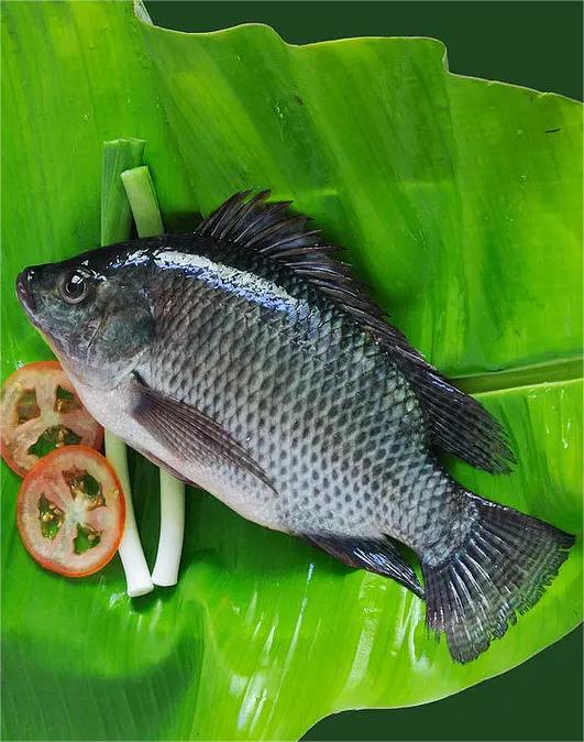 上蔡瓜果蔬菜配送電話