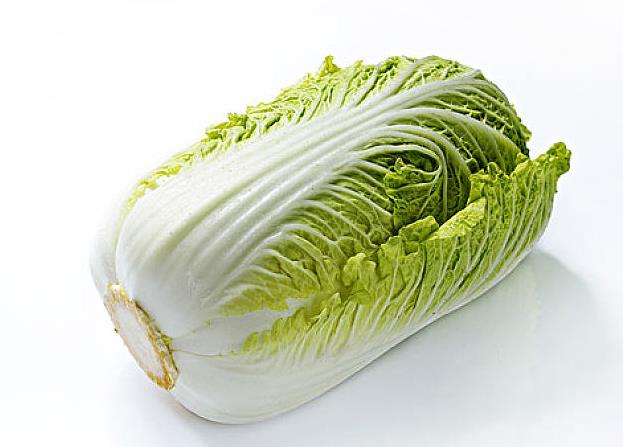 春困征候群悄悄擴大早春