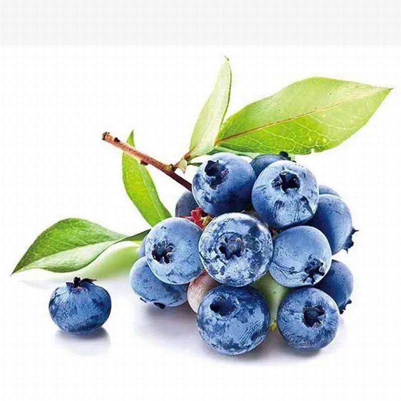 初春結(jié)核病人防咯血早春