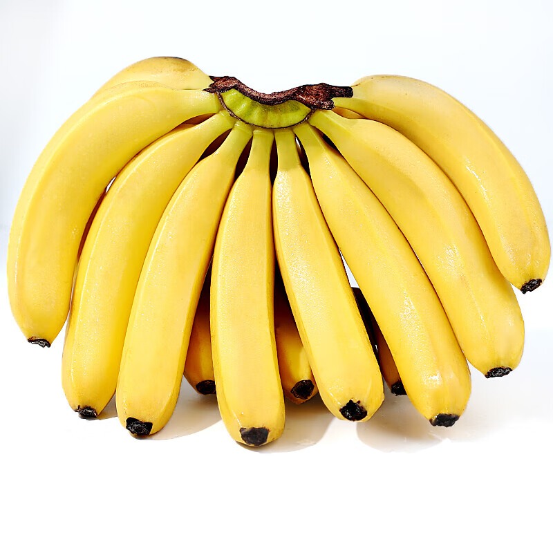 春季養生正當時 春季飲食忌與宜早春