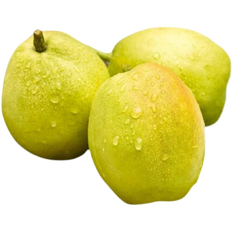 春季養生注意少用阿膠類補品早春