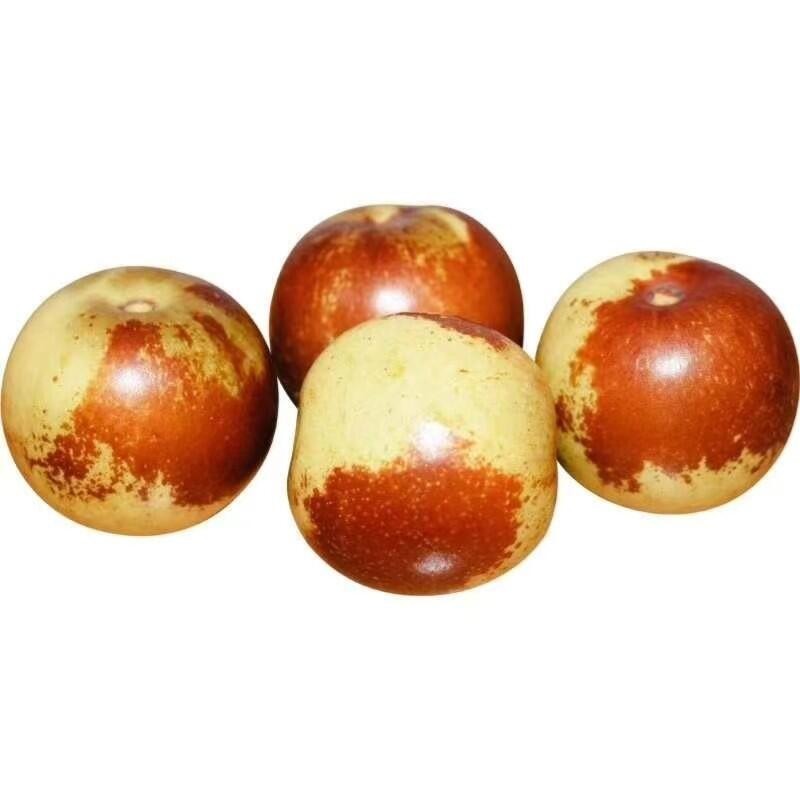 春季養生粥 教你吃出健康好體魄早春