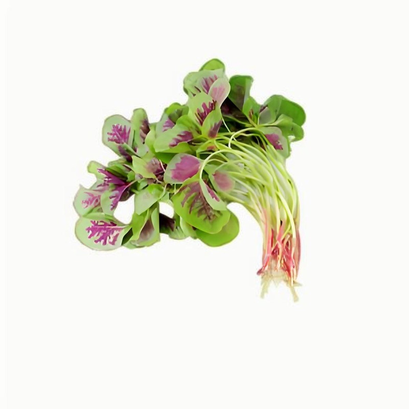 春分的來歷，春分的習俗有哪些，春分的節氣特征