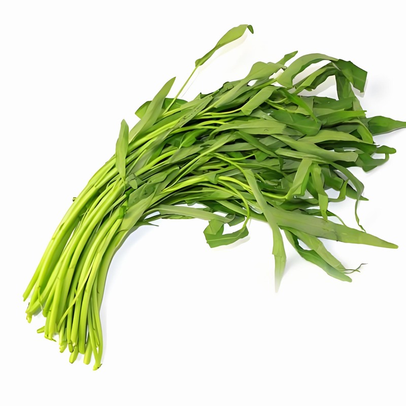 春分節氣民間習俗春分科學飲食知識