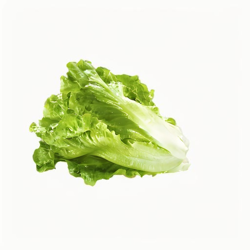 春吃韭菜９大好處８大禁忌也需警慎