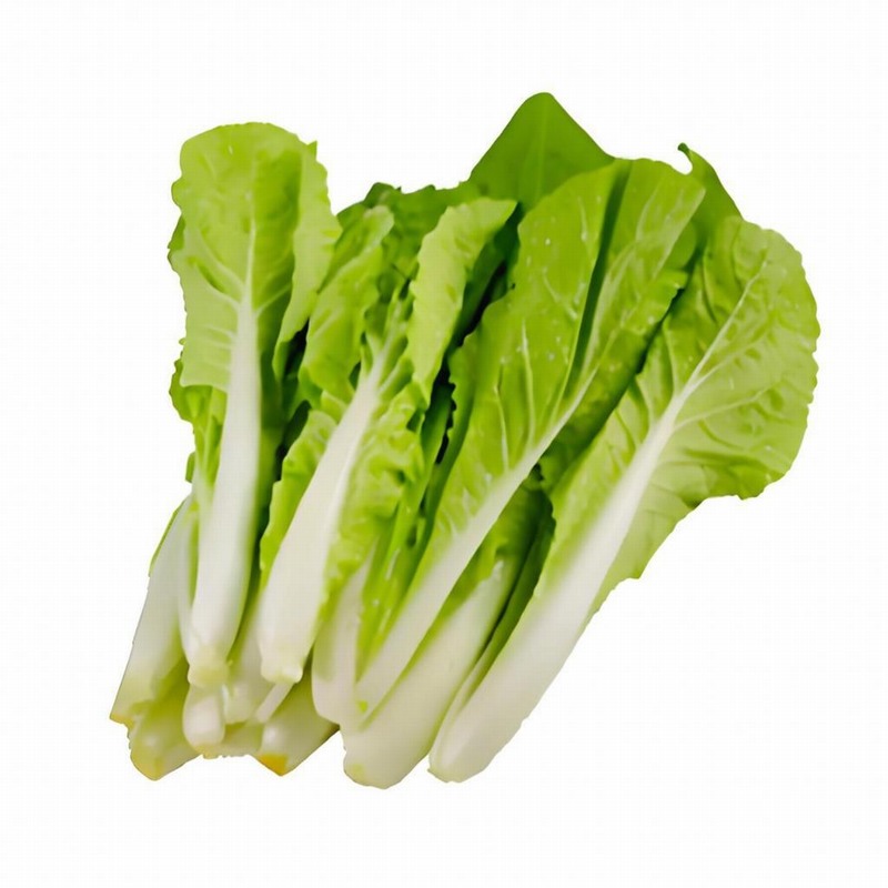 春茶好喝要放放 放段時間更香醇早春