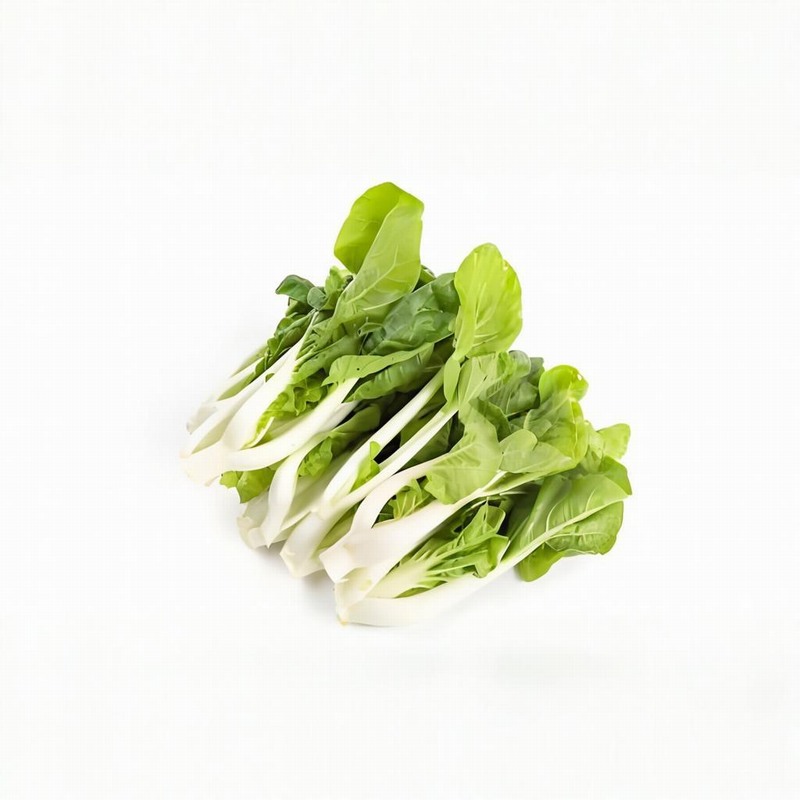 春分養生 切勿大熱大寒早春